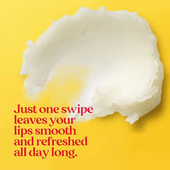 Burt's Bees - Pomegranate Moisturizing Lip Balm